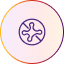 Anti-Fungal Shield