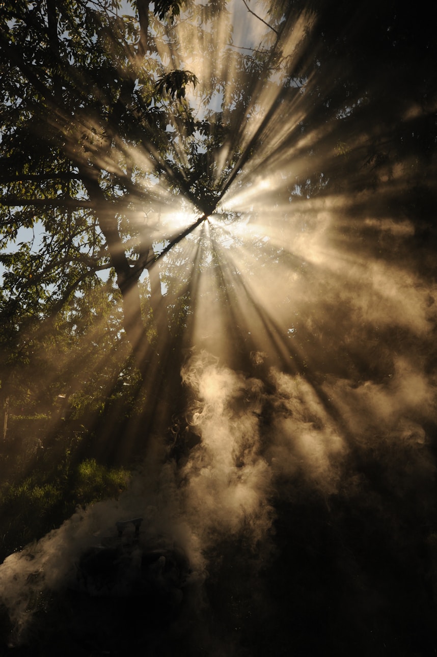 24-hour light