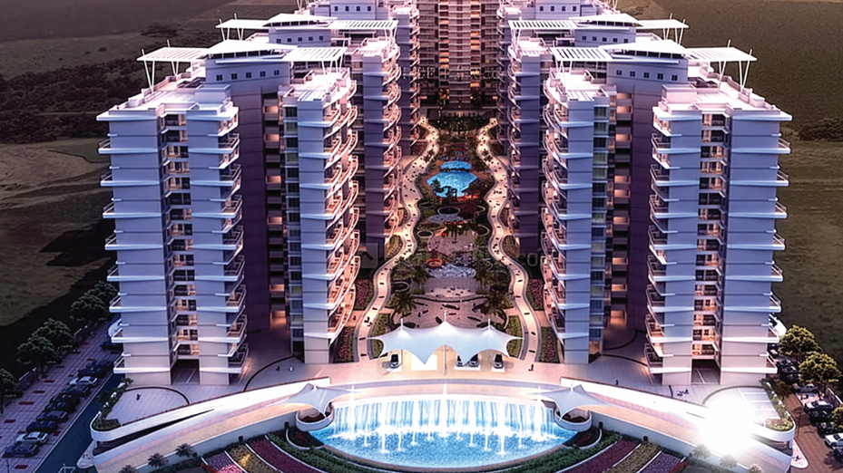 Pinnacle D Dreams